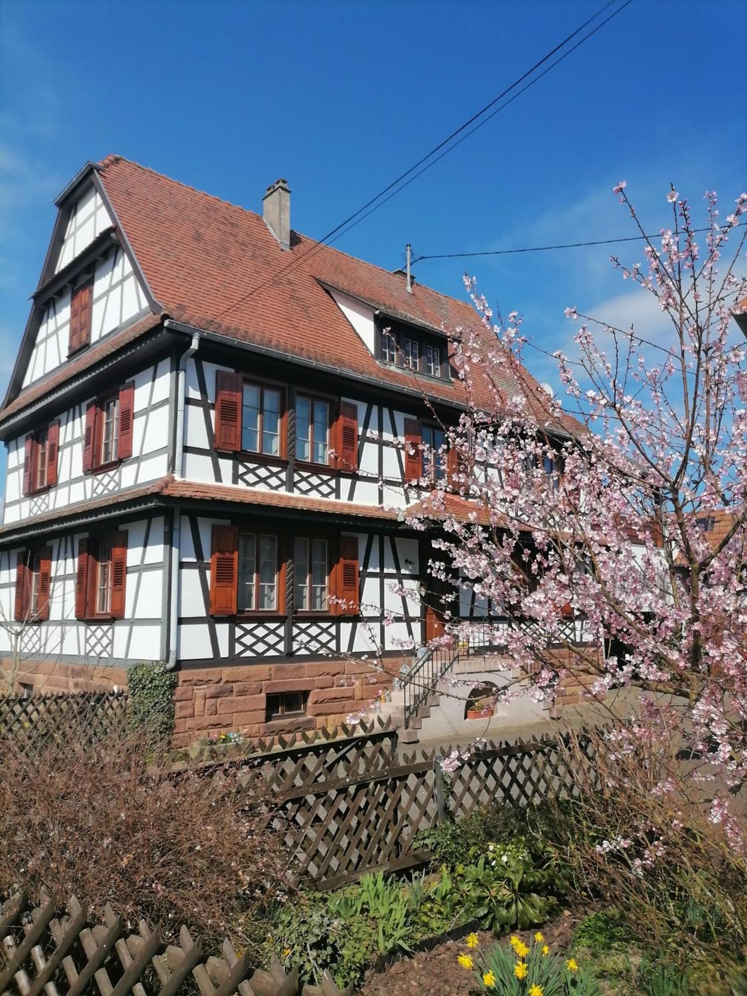 Appartement Et Terrasse Privee Ingolsheim Exterior photo